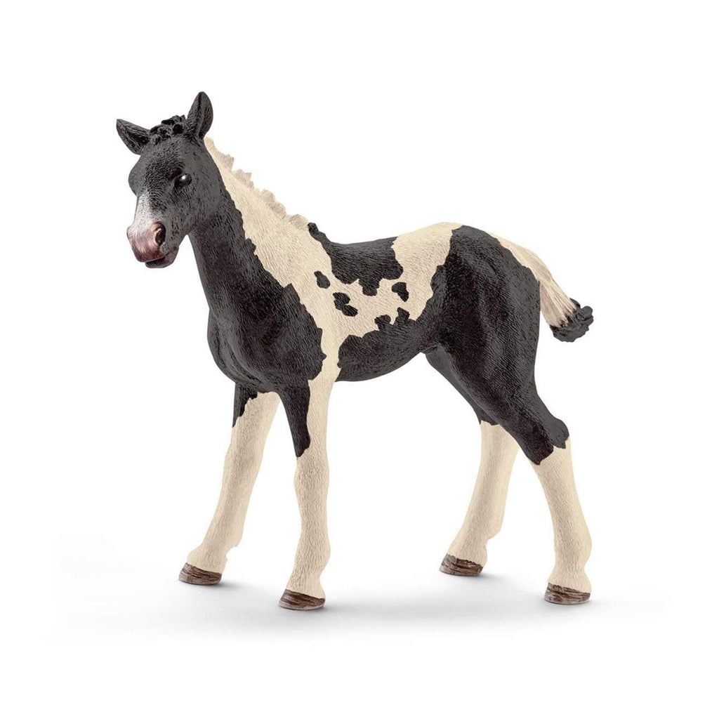 Schleich Pinto Foal Animal Horse Figure - Radar Toys