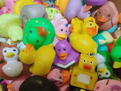Where to Buy Rubber Ducks if You Live in the United States