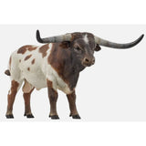 Papo Longhorn Bull Animal Figure 51156 - Radar Toys