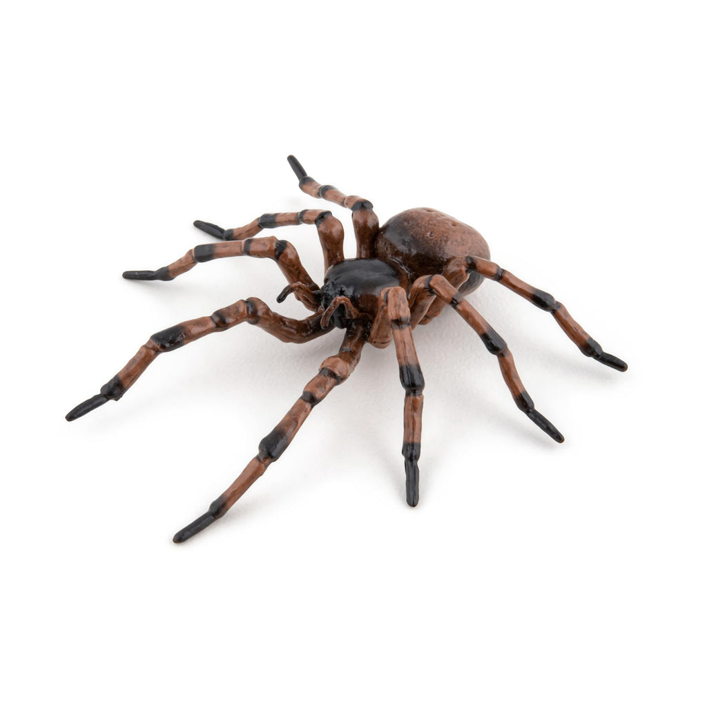 Papo Common Spider Figure 50292