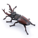 Papo Stag Beetle Figure 50281 - Radar Toys