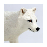 Safari Ltd Arctic Fox Animal Figure - Radar Toys