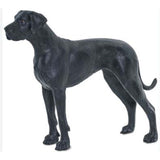 Safari Ltd Great Dane Dog Animal Figure 100204 - Radar Toys