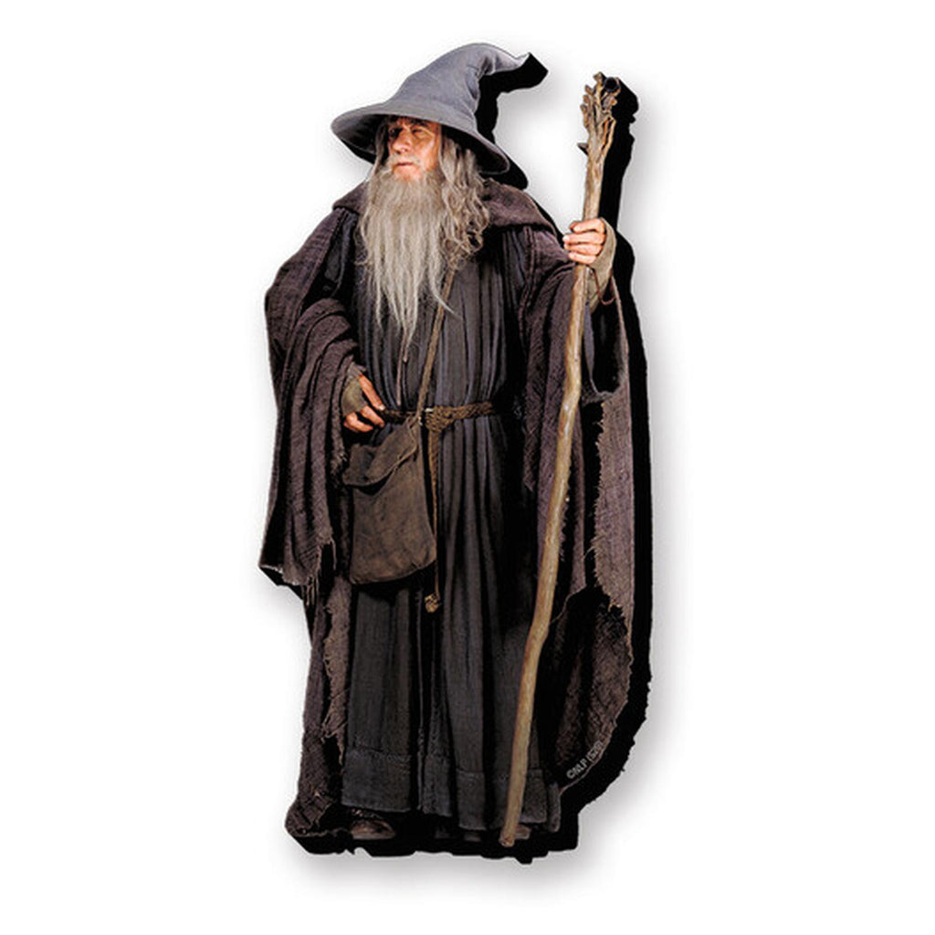 NMR Lord Of The Rings Gandalf Funky Chunky Magnet