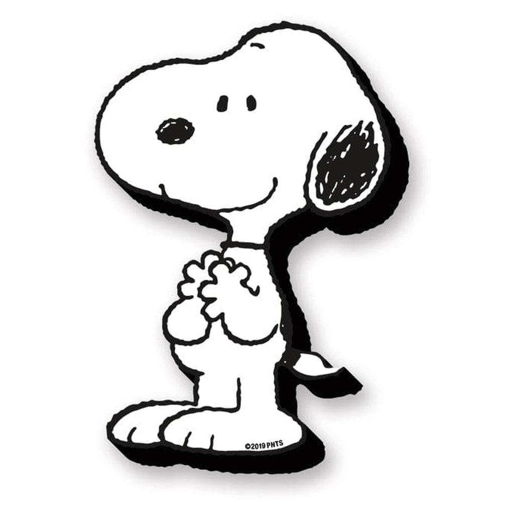 NMR Peanuts Snoopy Funky Chunky Magnet