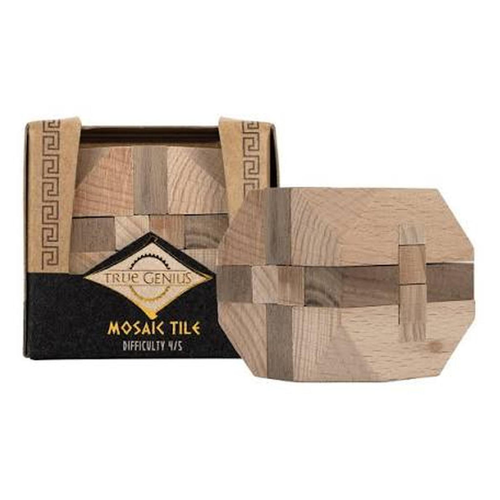 Project Genius True Genius Mosaic Tile Brain Teaser