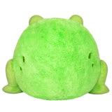 Squishable Frog 14 Inch Plush Figure - Radar Toys