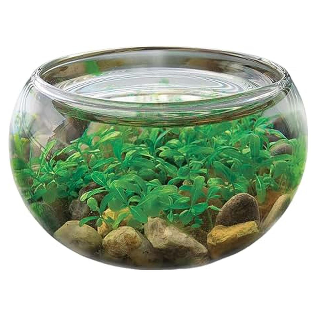Unique Gardener Mini Water Plant Case