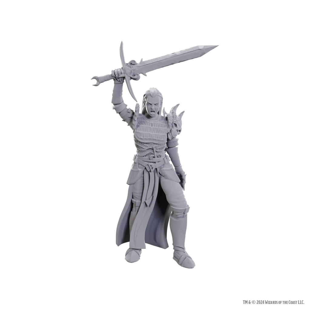 Wizkids Dungeons And Dragons Blackguard Miniature Figure