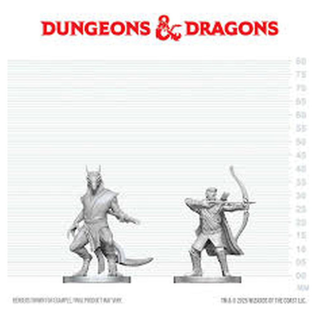 Wizkids Dungeons And Dragons Marvelous Elf Ranger And Dragonborn Monk Figure Set