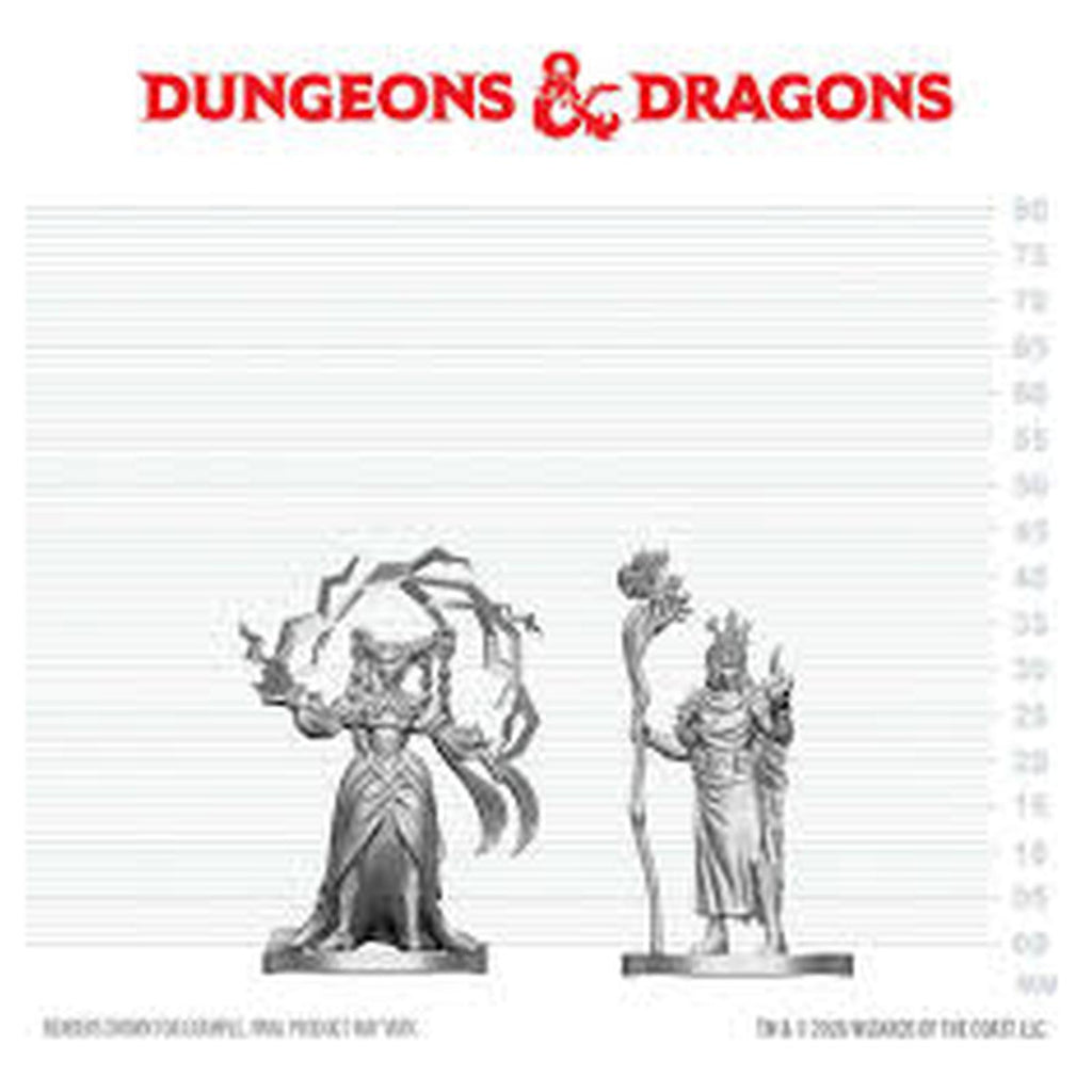 Wizkids Dungeons And Dragons Marvelous Human Druid And Elf Sorcerer Figure Set