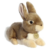 Aurora Miyoni Eastern Cottontail Rabbit 11 Inch Plush Figure - Radar Toys