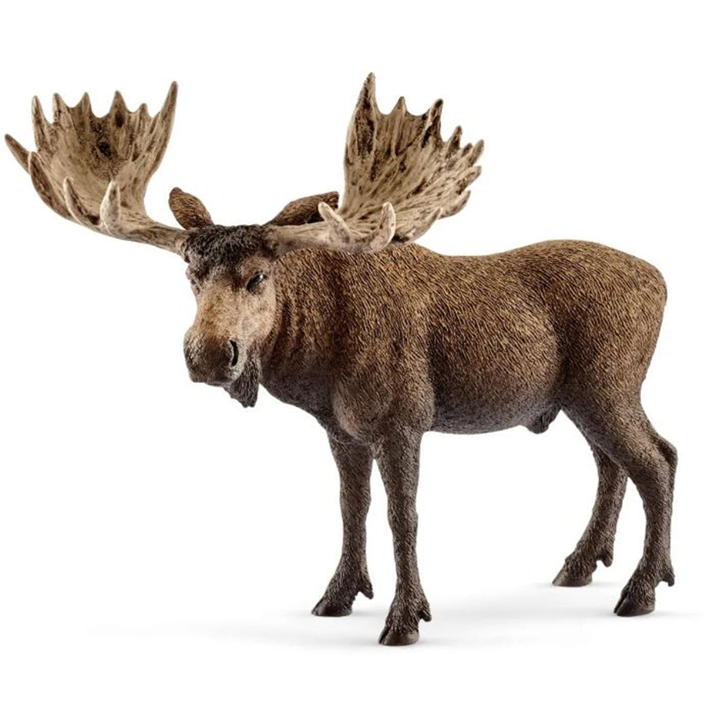 Schleich Moose Bull Animal Figure 14781