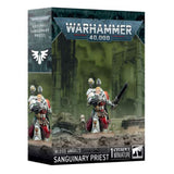 Warhammer 40,000 Blood Angels Sanguinary Priest Building Set - Radar Toys