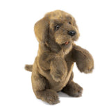 Folkmanis Dog Sitting 14 Inch Plush Puppet - Radar Toys