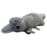 Douglas Allie Platypus Soft 14 Inch Plush Figure - Radar Toys