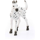 Schleich Knabstrupper Foal Horse Animal Figure 13890 - Radar Toys