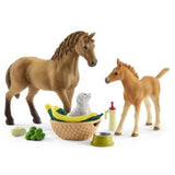 Schleich Horse Club Caring For Baby Animals Figure Set - Radar Toys