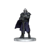 Dungeons And Dragons Icons Realms Curse of Strahd Denizens Of Barovia Figure - Radar Toys