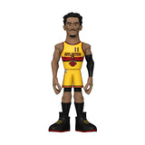 Funko NBA Hawks Gold Trae Young Vinyl Figure - Radar Toys