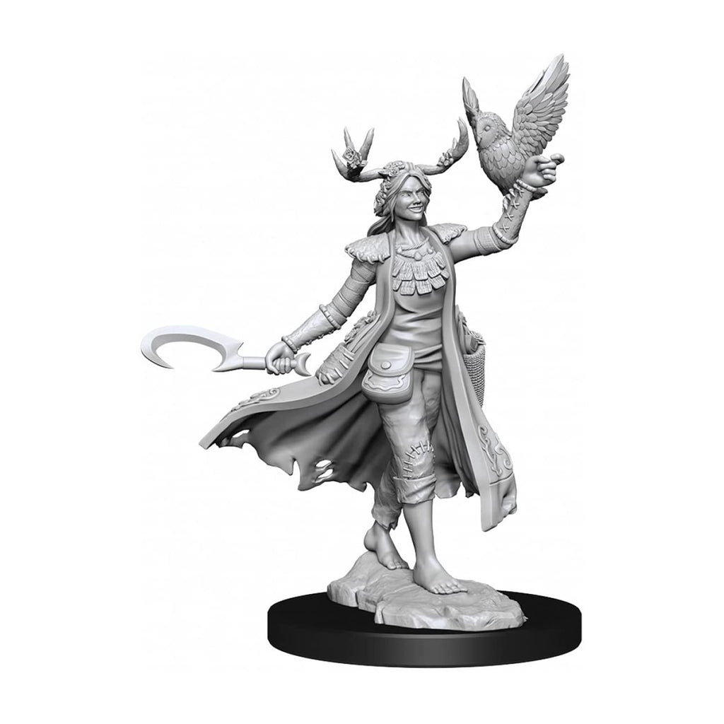 Dungeons And Dragons Frameworks Female Human Druid Figure