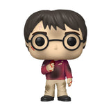 Funko Harry Potter POP Harry Potter With Stone Vinyl Figure - Radar Toys