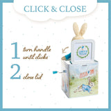 Beatrix Potter Peter Rabbit Jack In The Box Toy - Radar Toys
