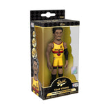 Funko NBA Hawks Gold Trae Young Vinyl Figure - Radar Toys