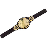 WWE NXT Championship Title Belt - Radar Toys