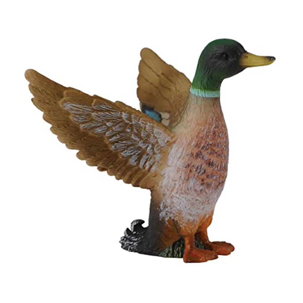 CollectA Mallard Duck Male Animal Figure 88378