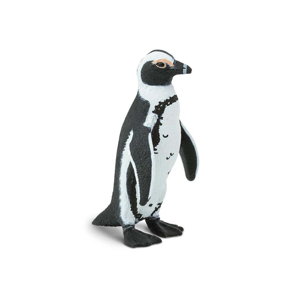 African Penguin Wildlife Safari Figure Safari Ltd - Radar Toys