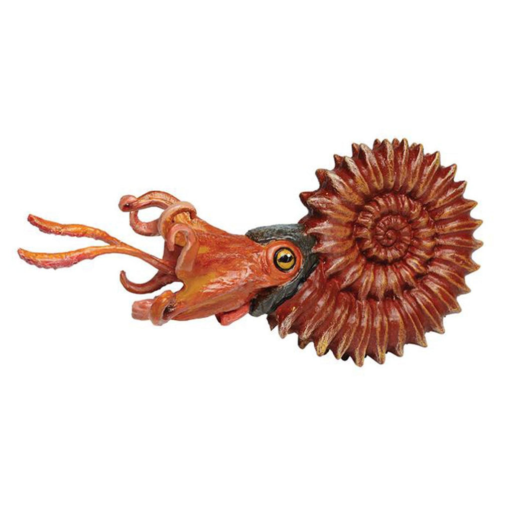 Ammonite Wild Safari Animal Figure Safari Ltd - Radar Toys