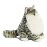 Aurora Dumpling Tabby 9.5 Inch Plush Figure - Radar Toys