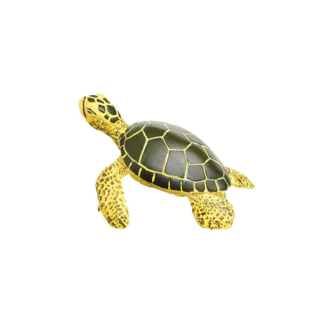 Baby Green Sea Turtle Sea Life Animal Figure Safari Ltd - Radar Toys