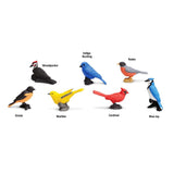 Backyard Birds Toob Mini Figures Safari Ltd - Radar Toys