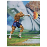 Bandai Street Fighter V Sagat SHFiguarts Figure - Radar Toys