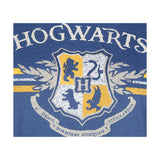 Bioworld Harry Potter Hogwarts Navy Unisex T-Shirt - Radar Toys