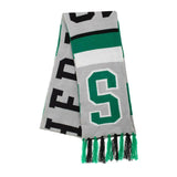 Bioworld Harry Potter Slytherin Big Stripe Scarf - Radar Toys