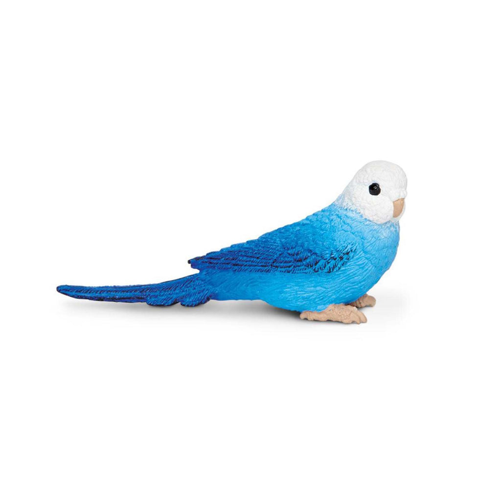Blue Budgie Wings Of The World Birds Figure Safari Ltd - Radar Toys