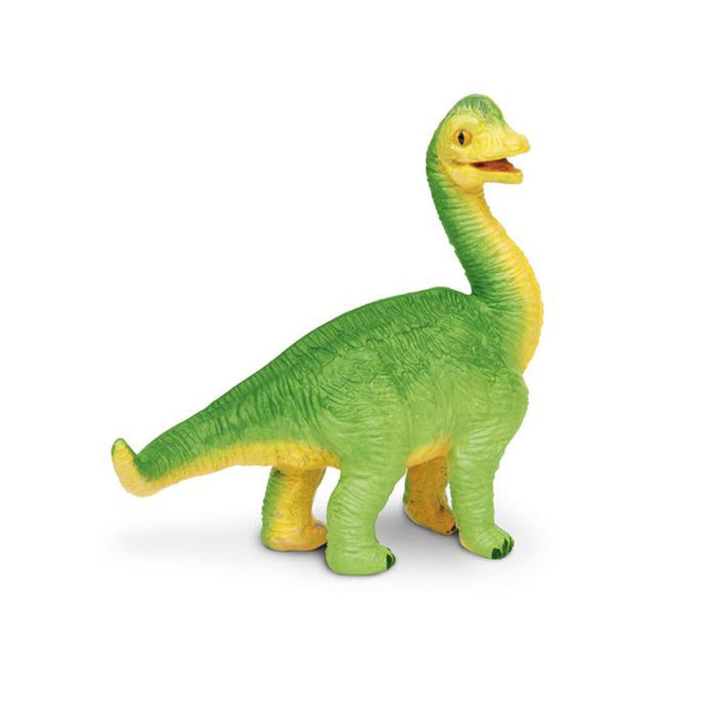 Brachiosaurus Baby Wild Safari Dinosaur Figure Safari Ltd