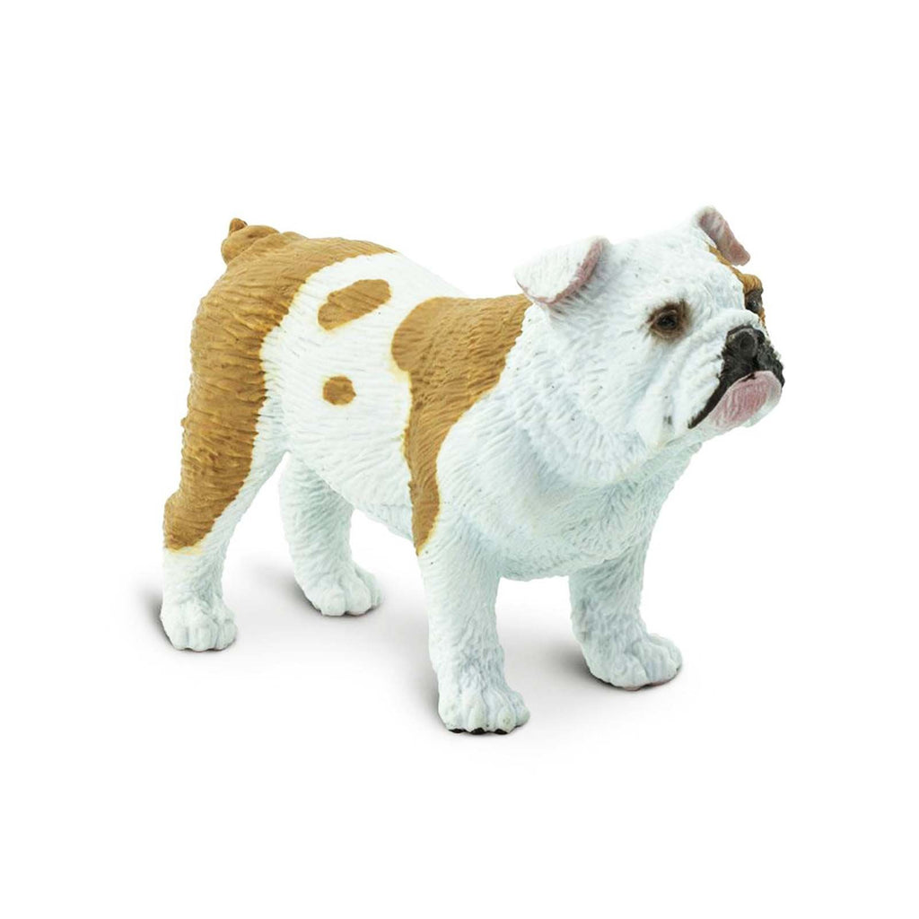 Bulldog Best In Show Dogs Figure Safari Ltd
