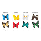 Butterflies Toob Mini Figures Safari Ltd - Radar Toys