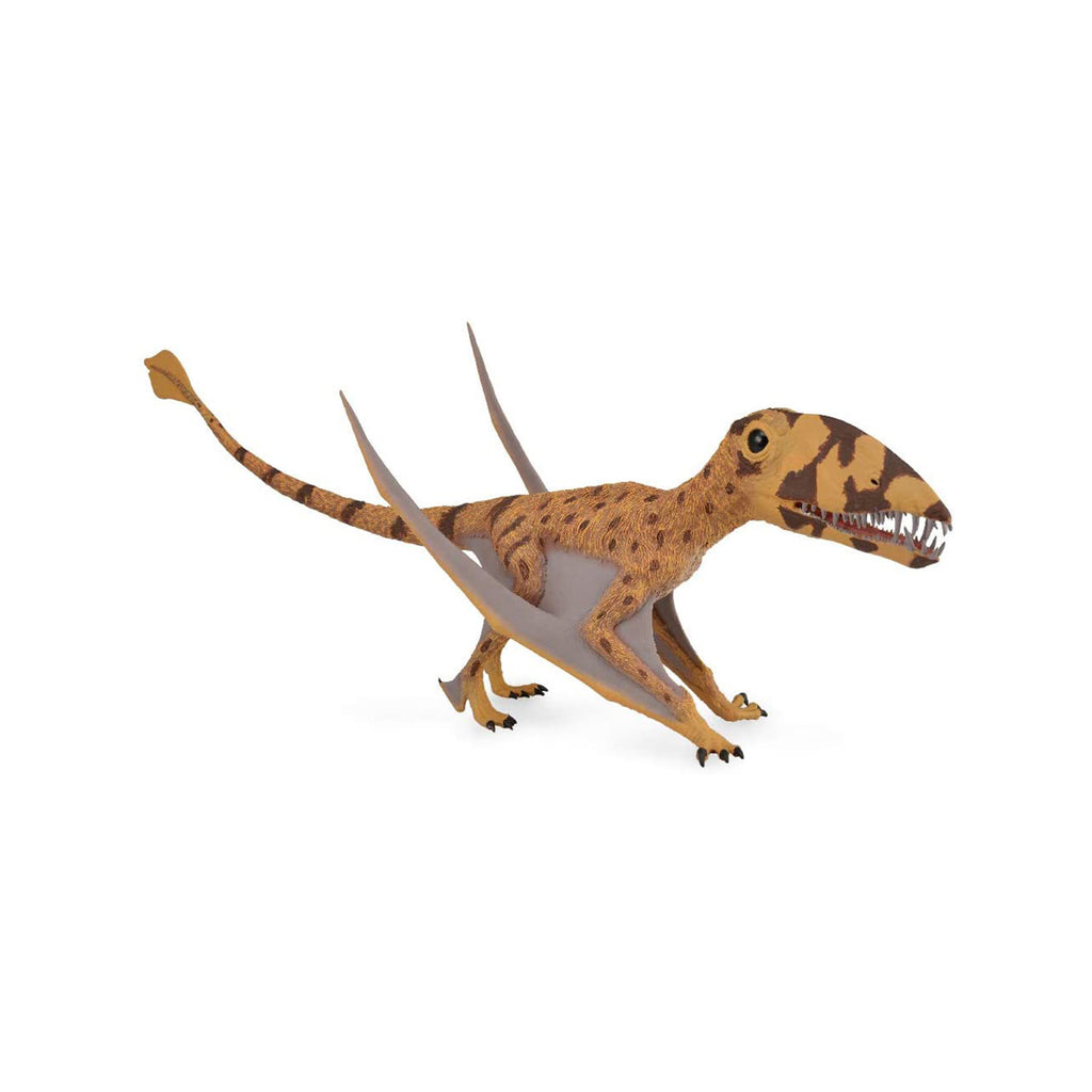 CollectA Dimorphodon Dinosaur Figure 88798