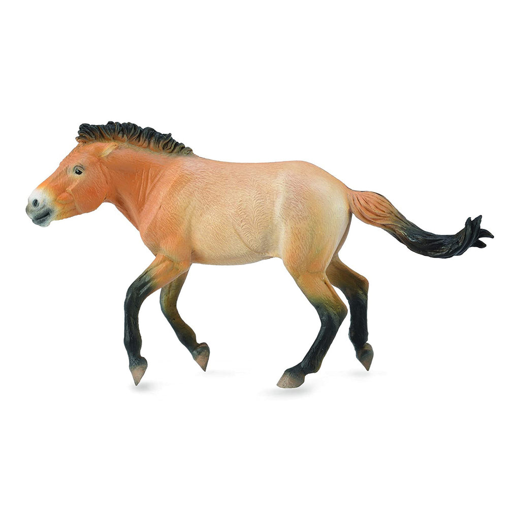CollectA Przewalski Stallion Animal Figure 88602