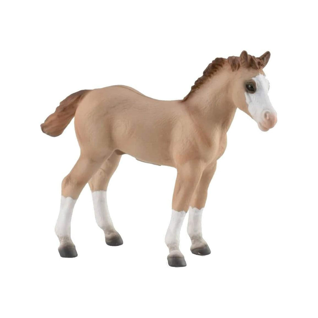 CollectA Quarter Foal Red Dun Animal Figure 88814