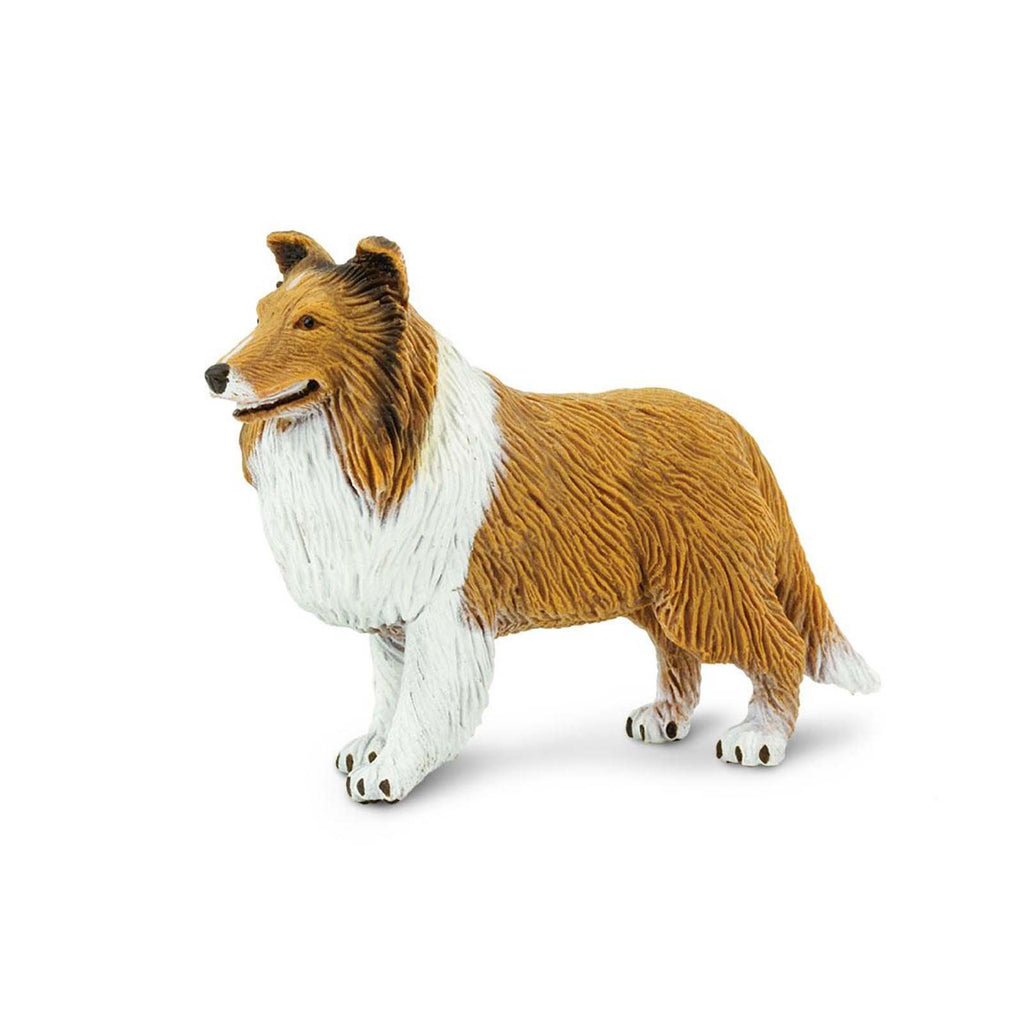 Collie Best In Show Dogs Figure Safari Ltd