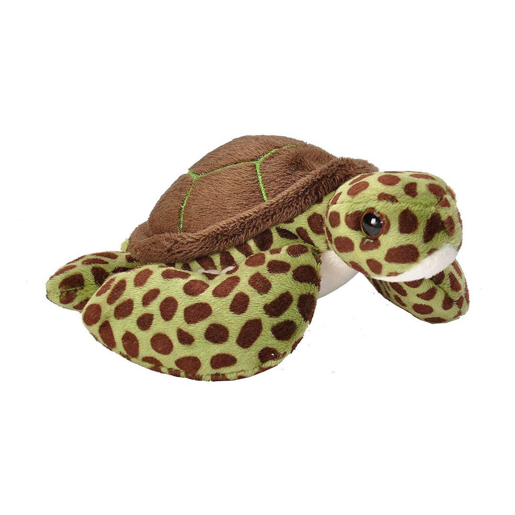 Cuddlekins Lil's Green Sea Turtle 5 Inch Animal Plush Figure - Radar Toys