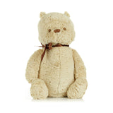 Disney Baby Classic Pooh 17 Inch Plush Figure - Radar Toys