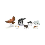 Dungeons And Dragons Icons Wild Shape Polymorph 2nd Set - Radar Toys