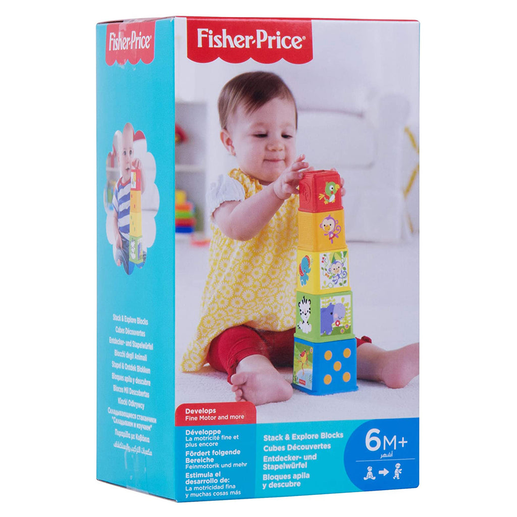 Fisher Price Stack And Explore Blocks